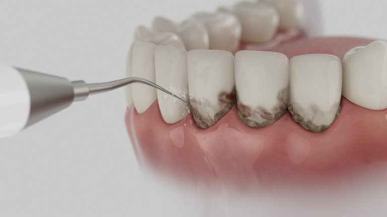 Reliable Dental contractor in Orchards, WA by Dentist Open Now